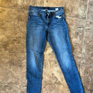 Banana Republic Classic Skinny Fit Blue Jeans